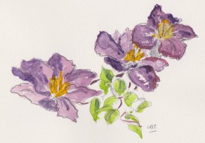 purple flowers 001