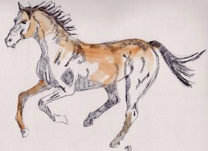 cantering horse 001