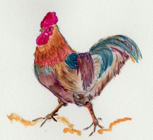 cockerel 3 001